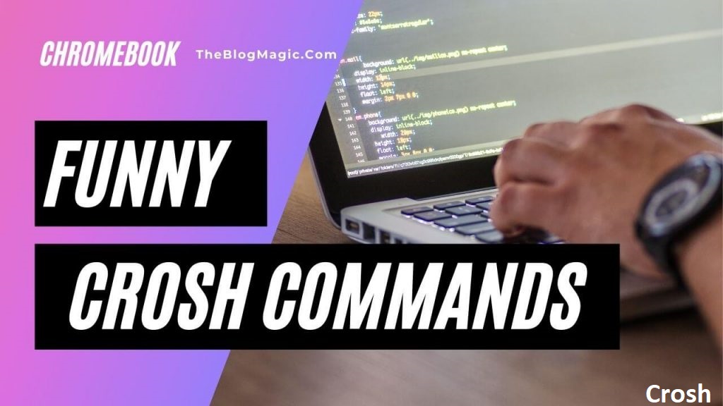 Exploring Crosh Chrome OS's Command Shell Environment