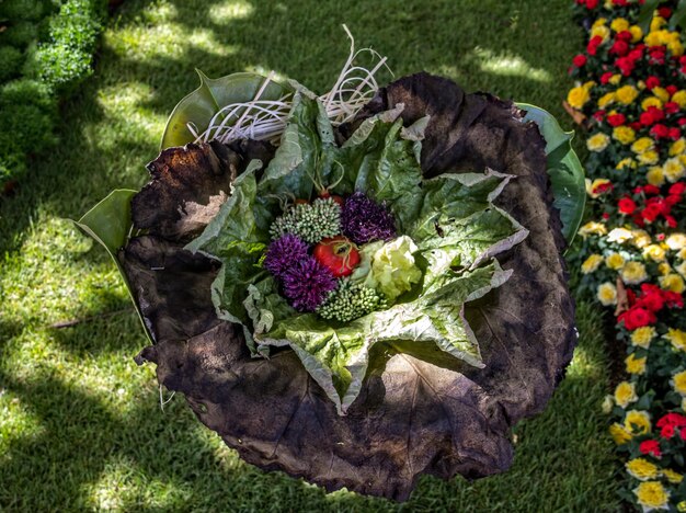 Ornamental Vegetable Garden