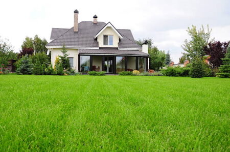 Ornamental Vegetable Garden