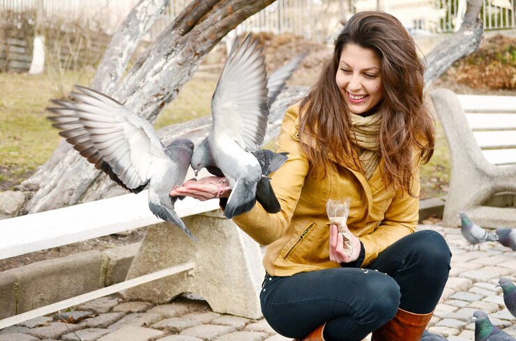 Birding doable in November