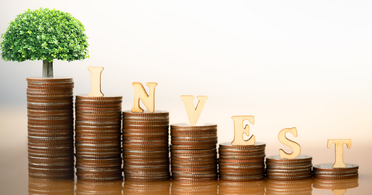 pedrovazpaulo wealth investment