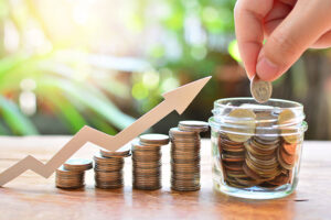 pedrovazpaulo wealth investment
