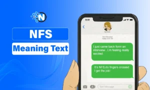 nfs meaning text